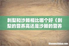 刺梨的营养高还是沙棘的营养高 刺梨和沙棘相比哪个好