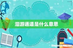 洄游通道是什么意思