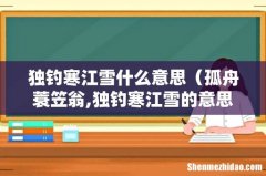 孤舟蓑笠翁,独钓寒江雪的意思是什么 独钓寒江雪什么意思