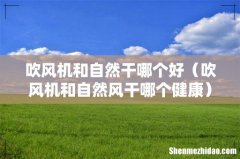 吹风机和自然风干哪个健康 吹风机和自然干哪个好