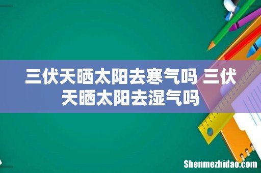 三伏天晒太阳去寒气吗 三伏天晒太阳去湿气吗