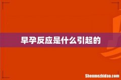 早孕反应是什么引起的