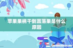 苹果果柄干倒置落果是什么原因