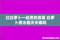 红白萝卜一起煮的危害 白萝卜煮水能天天喝吗