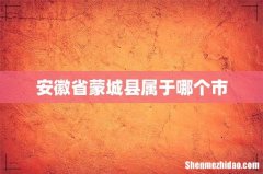 安徽省蒙城县属于哪个市