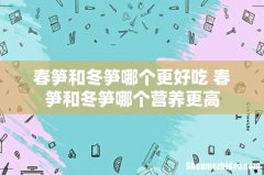春笋和冬笋哪个更好吃 春笋和冬笋哪个营养更高