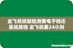 坐飞机核酸检测要电子档还是纸质档 坐飞机要24小时核酸还是48小时