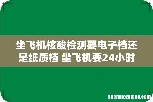 坐飞机核酸检测要电子档还是纸质档 坐飞机要24小时核酸还是48小时
