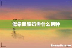 做希腊酸奶需什么菌种