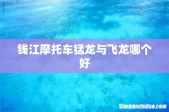钱江摩托车猛龙与飞龙哪个好