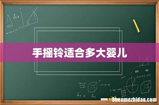 手摇铃适合多大婴儿