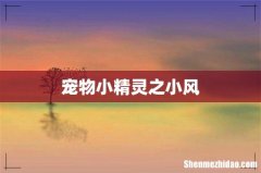 宠物小精灵之小风