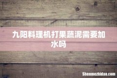 九阳料理机打果蔬泥需要加水吗
