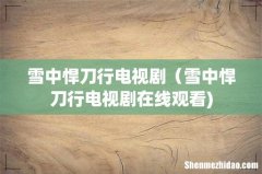雪中悍刀行电视剧（雪中悍刀行电视剧在线观看)