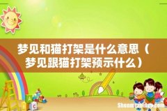 梦见跟猫打架预示什么 梦见和猫打架是什么意思