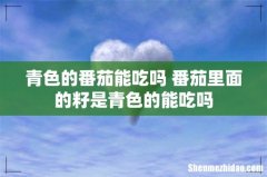青色的番茄能吃吗 番茄里面的籽是青色的能吃吗