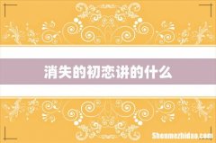 消失的初恋讲的什么