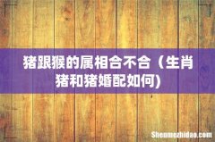 猪跟猴的属相合不合（生肖猪和猪婚配如何)