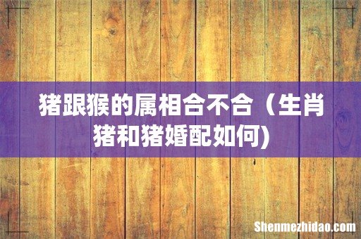 猪跟猴的属相合不合(生肖猪和猪婚配如何)