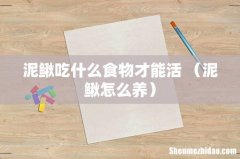 泥鳅怎么养 泥鳅吃什么食物才能活