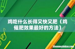 鸡催肥效果最好的方法 鸡吃什么长得又快又肥