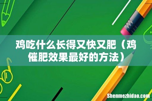鸡催肥效果最好的方法 鸡吃什么长得又快又肥