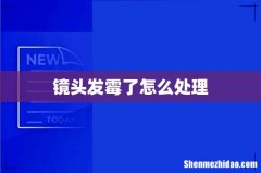 镜头发霉了怎么处理