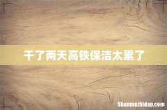 干了两天高铁保洁太累了