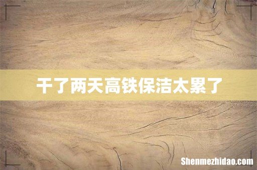 干了两天高铁保洁太累了