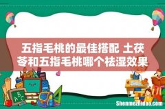 五指毛桃的最佳搭配 土茯苓和五指毛桃哪个祛湿效果好