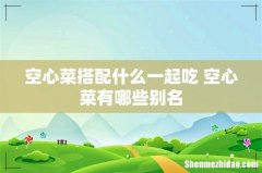 空心菜搭配什么一起吃 空心菜有哪些别名