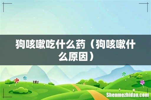 狗咳嗽什么原因 狗咳嗽吃什么药