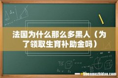为了领取生育补助金吗 法国为什么那么多黑人