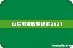 山东电费收费标准2021