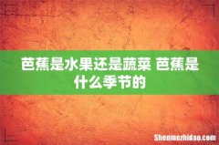 芭蕉是水果还是蔬菜 芭蕉是什么季节的