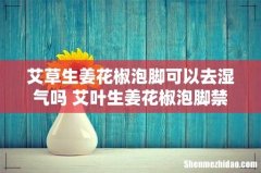 艾草生姜花椒泡脚可以去湿气吗 艾叶生姜花椒泡脚禁忌