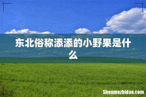 东北俗称添添的小野果是什么