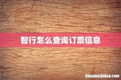 智行怎么查询订票信息