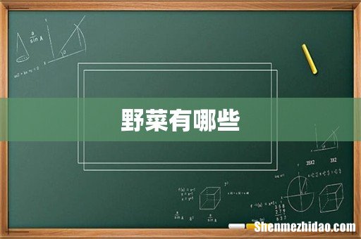 野菜有哪些