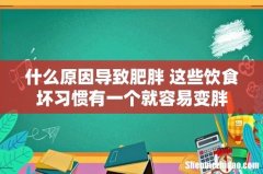 什么原因导致肥胖 这些饮食坏习惯有一个就容易变胖