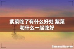 紫菜吃了有什么好处 紫菜和什么一起吃好