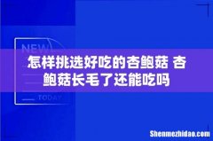怎样挑选好吃的杏鲍菇 杏鲍菇长毛了还能吃吗