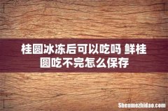 桂圆冰冻后可以吃吗 鲜桂圆吃不完怎么保存