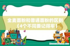4个不同要记得牢 全麦面粉和普通面粉的区别