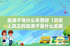 历史上真正的血滴子是什么武器 血滴子是什么东西呀