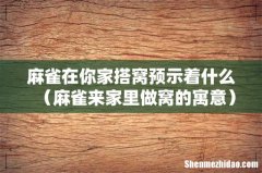 麻雀来家里做窝的寓意 麻雀在你家搭窝预示着什么