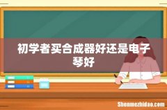 初学者买合成器好还是电子琴好