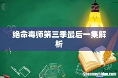 绝命毒师第三季最后一集解析