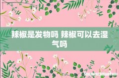 辣椒是发物吗 辣椒可以去湿气吗