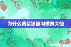 为什么黄鼠狼被叫做黄大仙